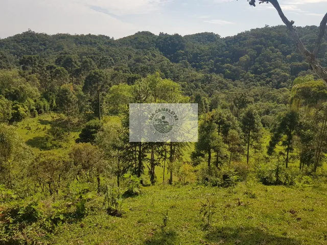 Imagem 11: Sítio com 143.000 m², com chalé, casa de caseiro, ranchos e casa inacabada, imóvel