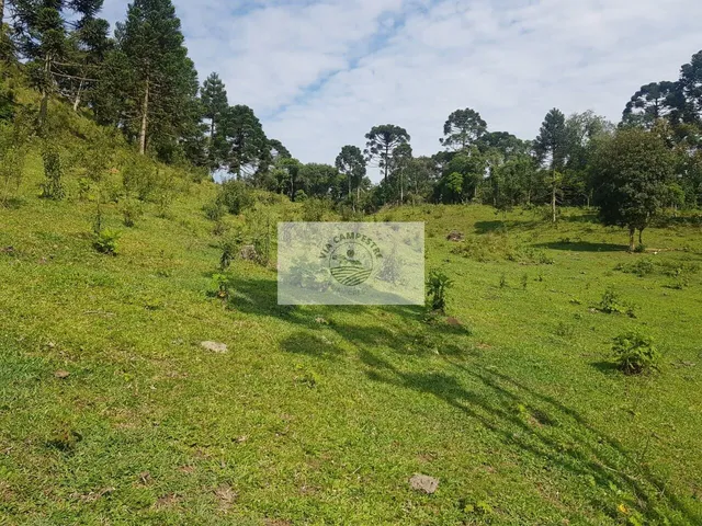 Imagem 8: Sítio com 143.000 m², com chalé, casa de caseiro, ranchos e casa inacabada, imóvel