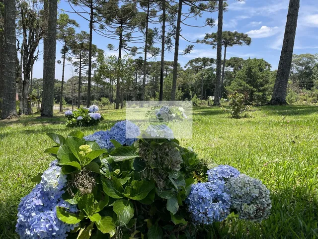 Imagem: Terreno para sítio com 1.800 m², lugar