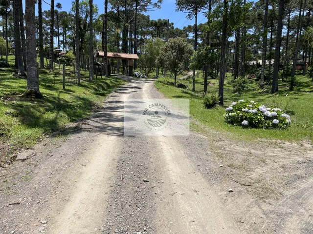Imagem 2: Terreno para sítio com 1.800 m², lugar alto, de esquina, frente para o asfalto