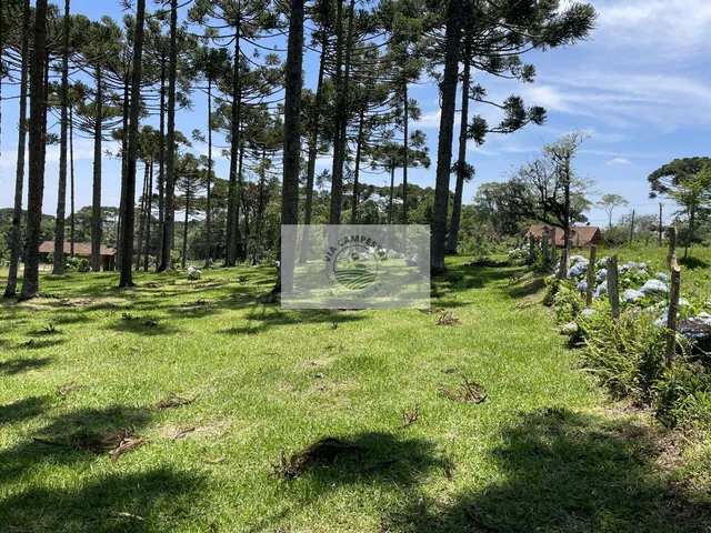Imagem 3: Terreno para sítio com 1.800 m², lugar alto, de esquina, frente para o asfalto