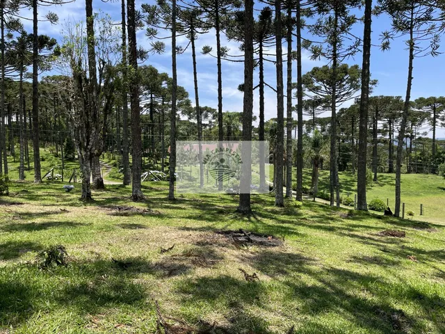 Imagem 4: Terreno para sítio com 1.800 m², lugar alto, de esquina, frente para o asfalto