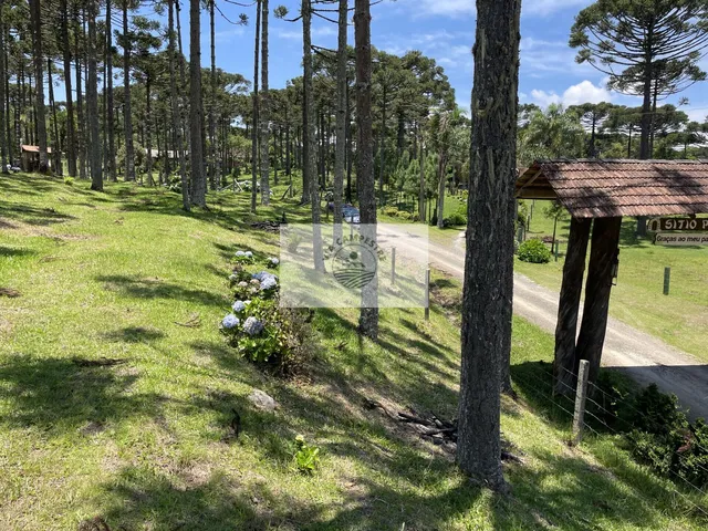 Imagem 5: Terreno para sítio com 1.800 m², lugar alto, de esquina, frente para o asfalto