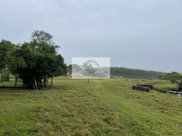 Imagem 4: Terreno rural em Pirabeiraba com 152.000 m2, pastagem, rio, nascente, casa boa