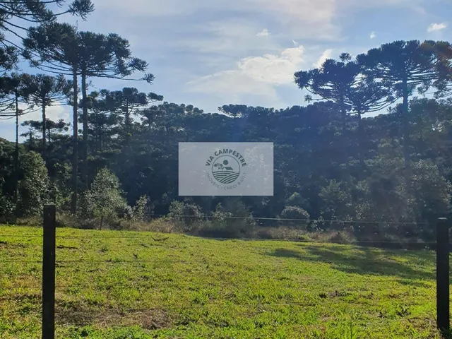 Imagem: Terreno 8.142 m², escriturado, pode ser