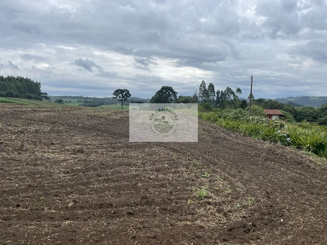 Imagem: Sítio com 48.000 m², todo limpo, ótimo