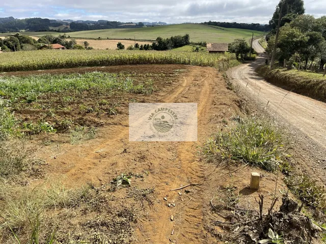 Imagem 4: Sítio com 48.000 m², todo limpo, ótimo para plantação, analisa permuta parcial