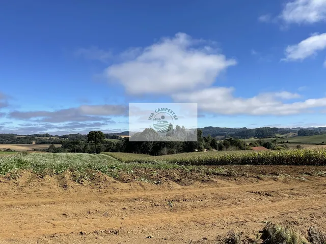 Imagem 13: Sítio com 48.000 m², todo limpo, ótimo para plantação, analisa permuta parcial