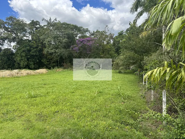 Imagem: Terreno escriturado, lateral da Estrada