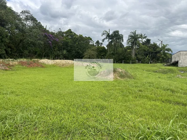 Imagem 4: Terreno escriturado, lateral da Estrada da Ilha, com 2.175 m2, unico na região, em