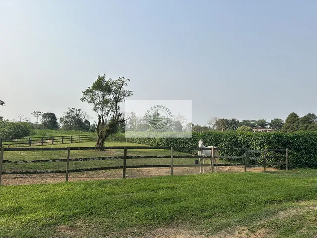 Imagem 4: Amplo terreno na Estrada da Ilha com 139.057 m², plano, cercado, com casas, analisa