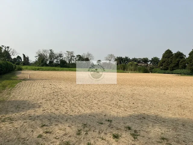 Imagem 10: Amplo terreno na Estrada da Ilha com 139.057 m², plano, cercado, com casas, analisa