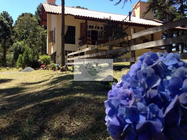 Imagem: Sítio com excelente residencia e mais 3