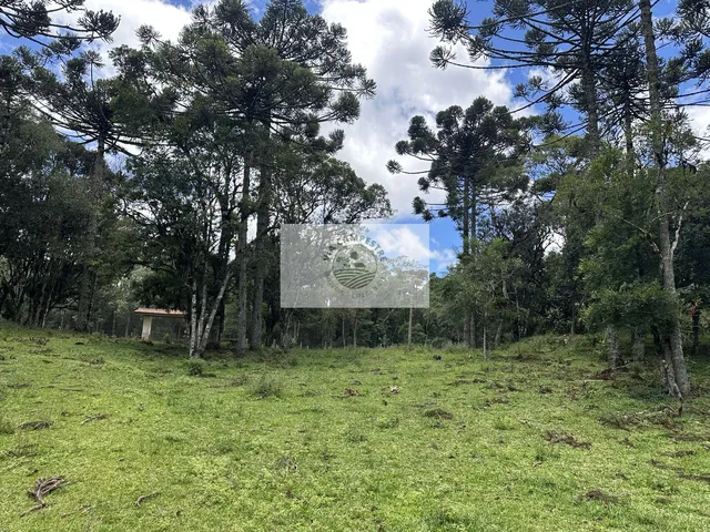 Imagem 4: Sítio com 21.300 m², escriturado, com casa de 3 quartos, lago, toda cercada, apenas 900