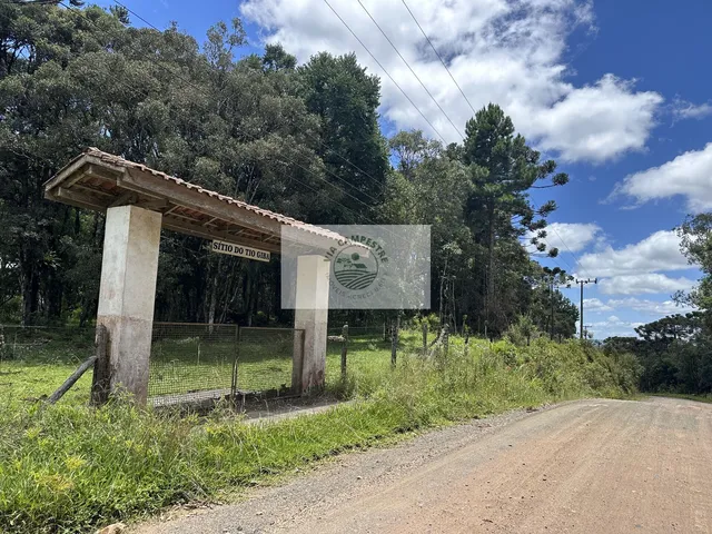 Imagem 9: Sítio com 21.300 m², escriturado, com casa de 3 quartos, lago, toda cercada, apenas 900