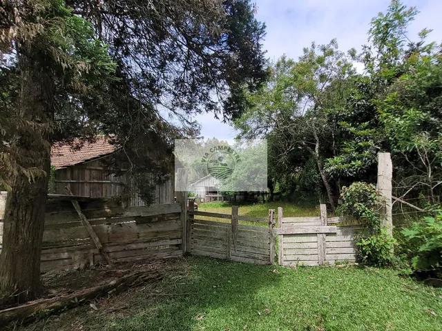 Imagem 14: Sítio com 85.107 m², escriturado, com casa simples e galpão, lindas araucarias