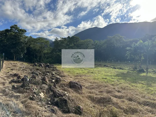 Imagem 2: Terreno para sitio, rua pavimentada, documentação em dia, com o rio Quiriri nos fundos