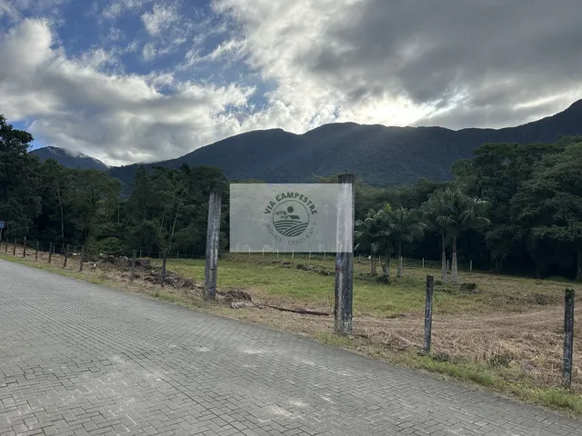 Imagem 8: Terreno para sitio, rua pavimentada, documentação em dia, com o rio Quiriri nos fundos