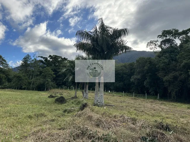 Imagem 11: Terreno para sitio, rua pavimentada, documentação em dia, com o rio Quiriri nos fundos