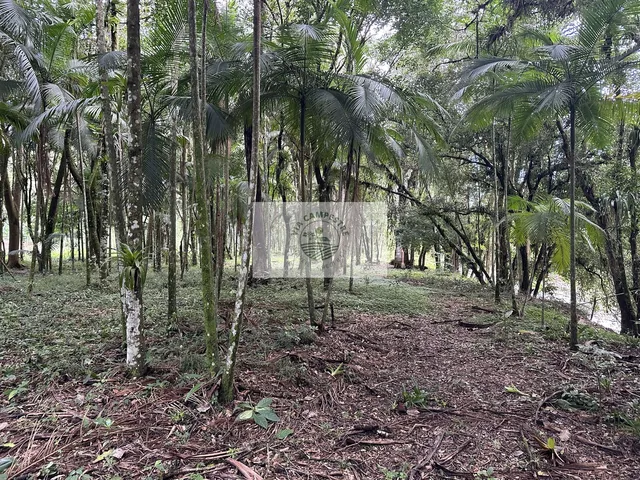 Imagem 14: Terreno para sitio, rua pavimentada, documentação em dia, com o rio Quiriri nos fundos