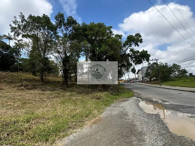 Imagem 3: Terreno muito bem localizado no Costa e Silva