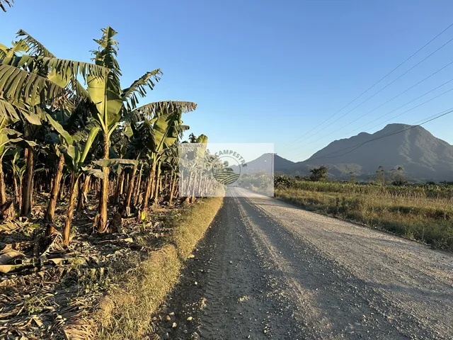Imagem: Sítios apartir de 20.000 m², Estrada do