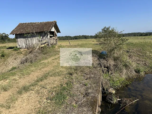 Imagem: Terreno plano e todo limpo, ideal para condominio