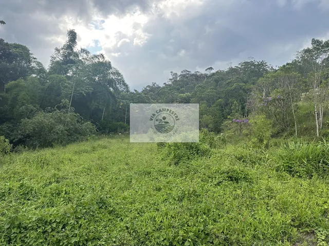 Imagem 3: Sítio com 45.628 m², escriturado, apenas 100 metros do asfalto, proximo ao Bar