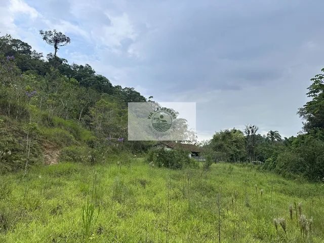 Imagem 15: Sítio com 45.628 m², escriturado, apenas 100 metros do asfalto, proximo ao Bar