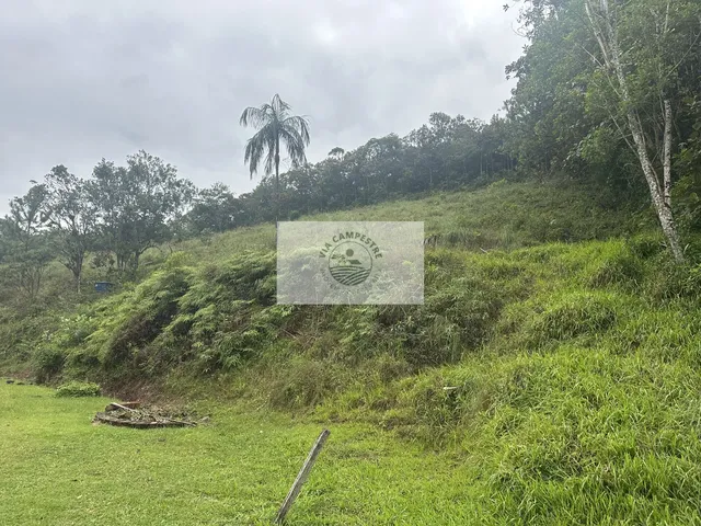 Imagem 11: Sítio com 45.628 m², escriturado, apenas 100 metros do asfalto, proximo ao Bar