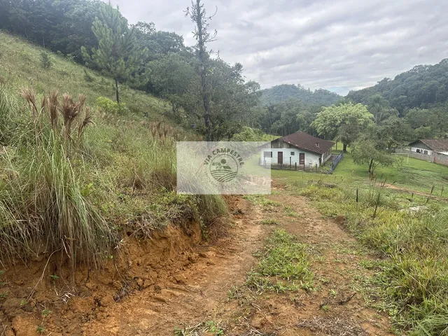 Imagem 5: Sítio com 45.628 m², escriturado, apenas 100 metros do asfalto, proximo ao Bar