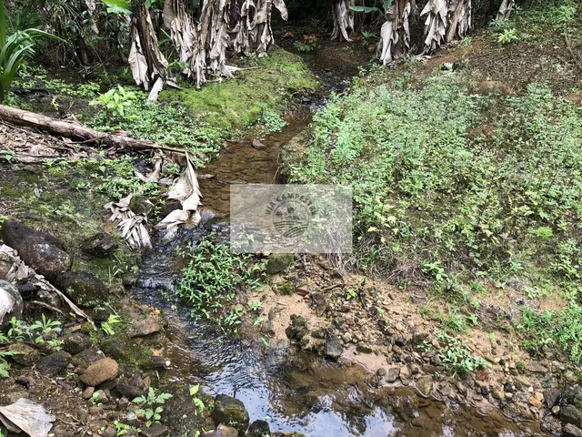 Imagem 4: Sítio na Estrada do Pico, escriturado, 105.848 m², com rios e ranchos