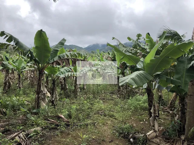 Imagem 10: Sítio na Estrada do Pico, escriturado, 105.848 m², com rios e ranchos
