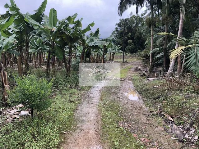 Imagem 13: Sítio na Estrada do Pico, escriturado, 105.848 m², com rios e ranchos