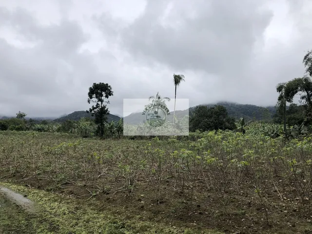 Imagem 16: Sítio na Estrada do Pico, escriturado, 105.848 m², com rios e ranchos