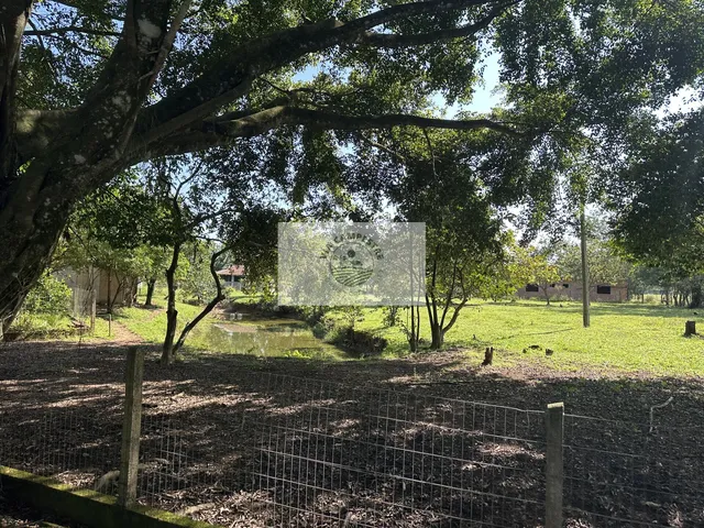 Imagem 9: Sobrado com 3 dormitorios, rua sem saida, amplo terreno de 3.000 m2, lago, rancho