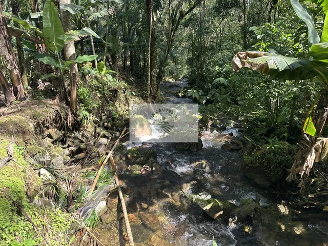 Imagem 7: Terreno rural com 23.000 m2 no Quiriri, com rios e quedas da agua