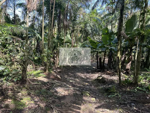 Imagem 10: Terreno rural com 23.000 m2 no Quiriri, com rios e quedas da agua