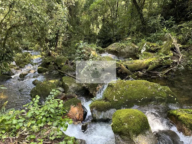 Imagem 15: Terreno rural com 23.000 m2 no Quiriri, com rios e quedas da agua