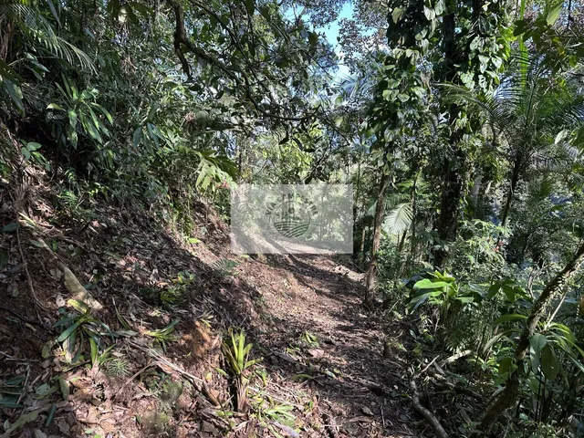 Imagem 6: Terreno rural com 23.000 m2 no Quiriri, com rios e quedas da agua