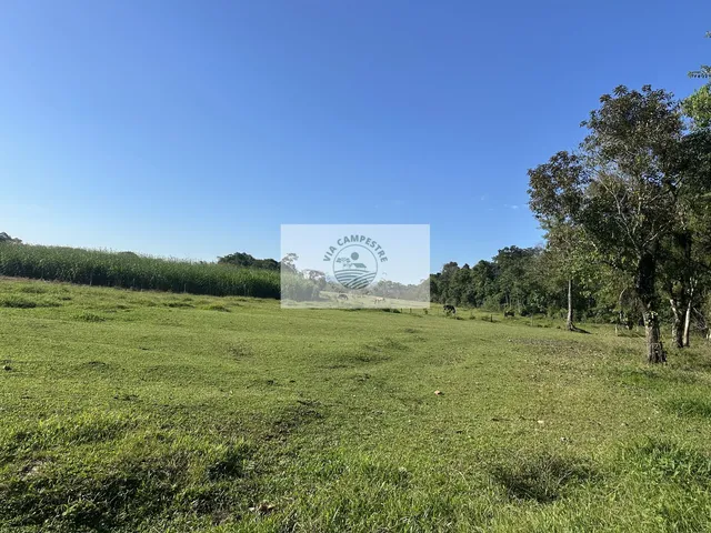 Imagem 7: Terreno com 60.713 m2, de frente para a Estrada da Ilha, otimo imóvel para condominio