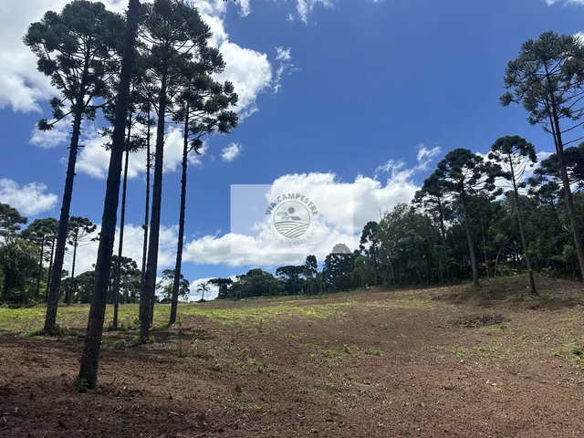 Imagem: Terreno urbano com 20.000 m² em Campo Alegre
