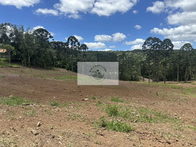 Imagem 12: Terreno urbano com 20.000 m² em Campo Alegre, frente para o asfalto, com riacho
