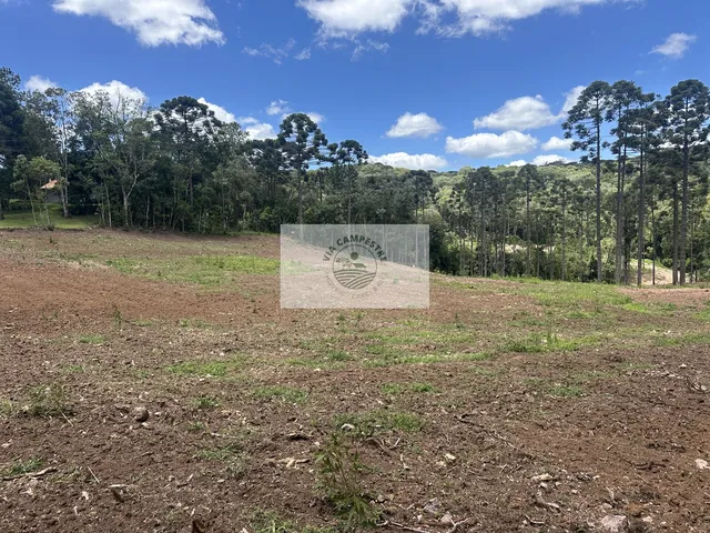 Imagem 8: Terreno urbano com 20.000 m² em Campo Alegre, frente para o asfalto, com riacho