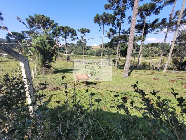 Imagem 8: Sítio com 7.569 m² com residência de 3 dormitórios, bairro São Miguel