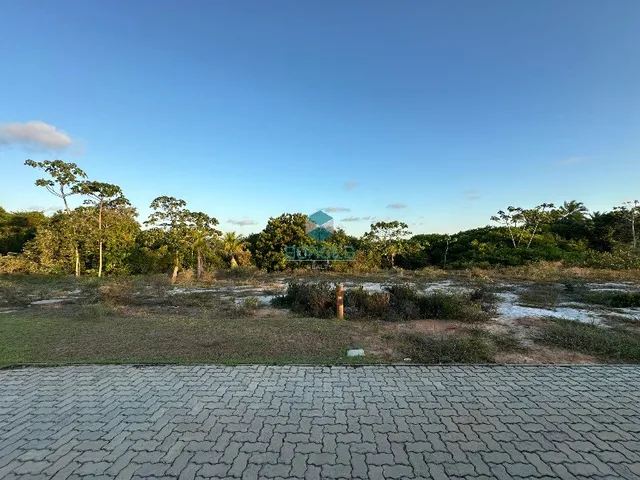 Imagem: La Laguna - Praia do Forte