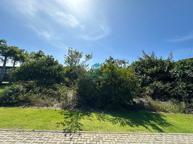 Imagem: Ilha dos Pássaros