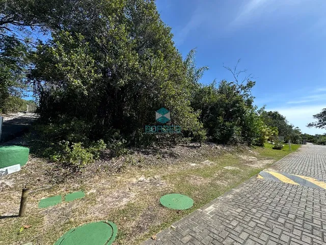 Imagem: Ilha dos Pássaros