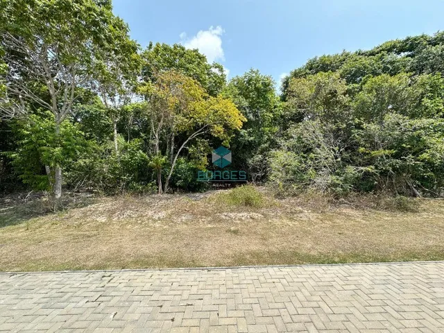 Imagem: TERRENO EM CONDOMÍNIO RESIDENCIAL em MATA