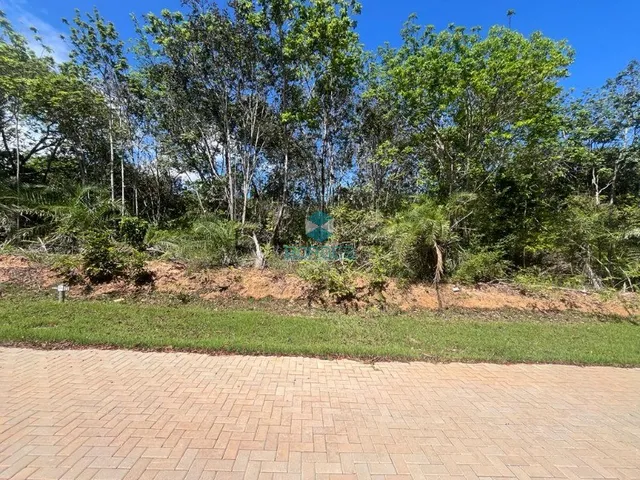 Imagem: TERRENO EM CONDOMÍNIO RESIDENCIAL em MATA
